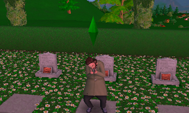 TheSims3_3DS_Graves_1_top.jpg