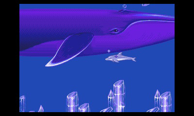 ecco_09.jpg