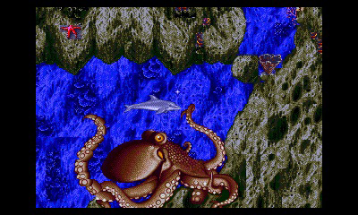 ecco_11.jpg